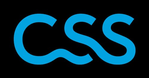 CSS Logo